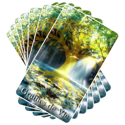 Graine de Lumière