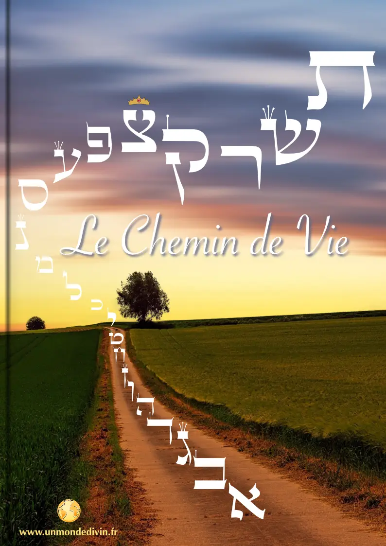 Chemin de Vie