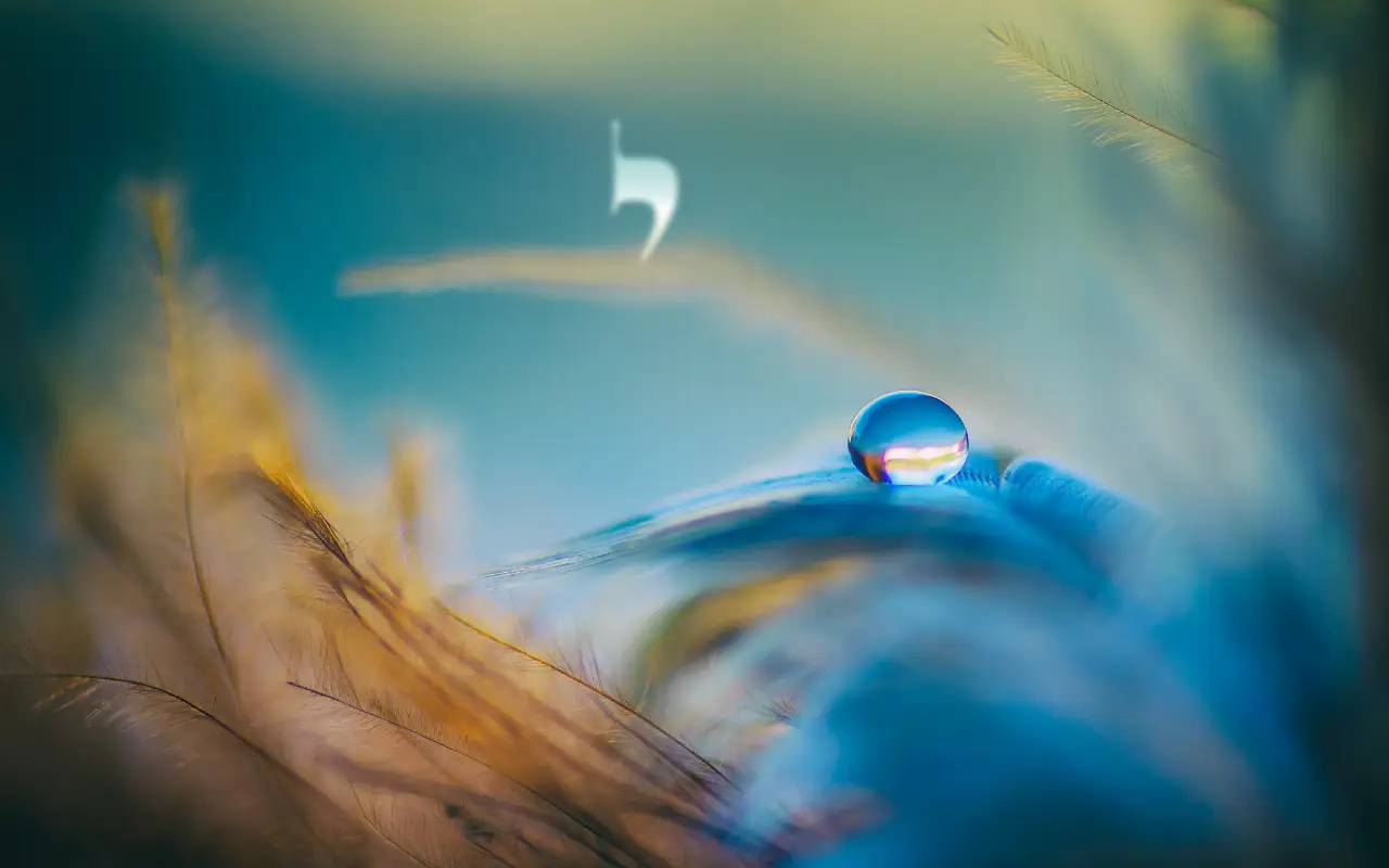 Goutte d'eau sur une plume NOBOOK
